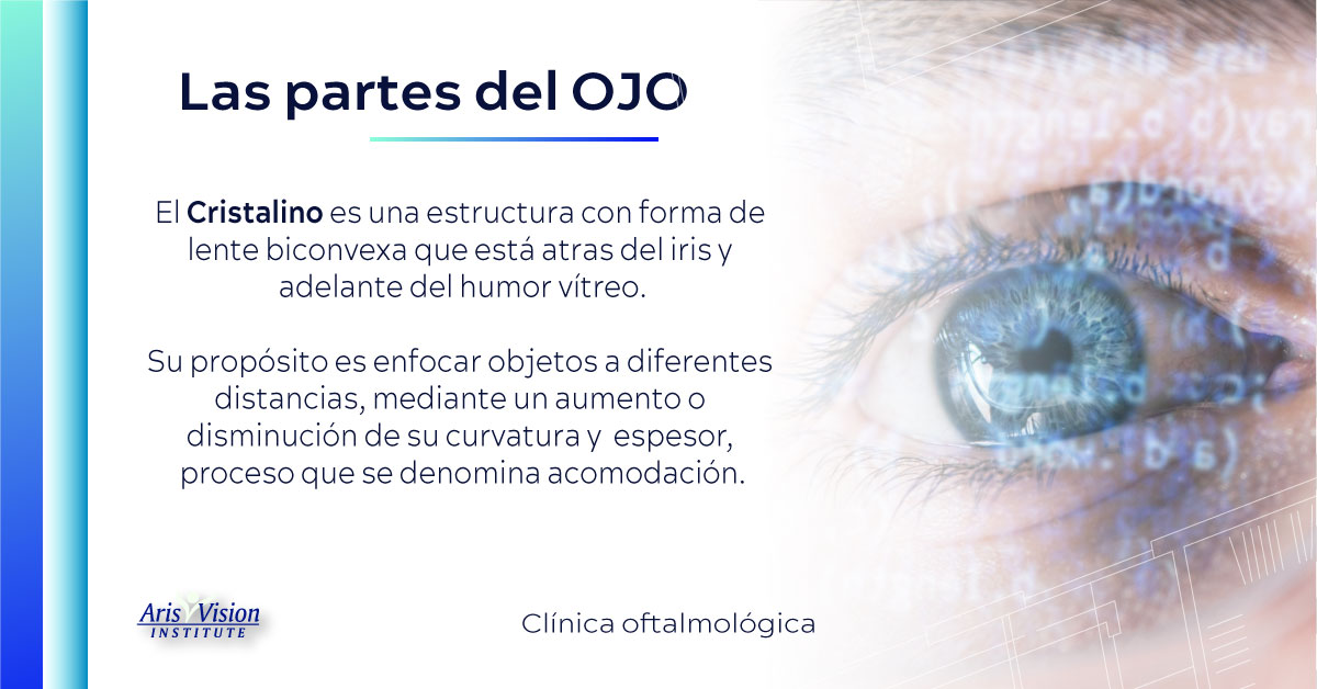 #elojo 👁 El cristalino con la edad va... - Aris Vision CDMX