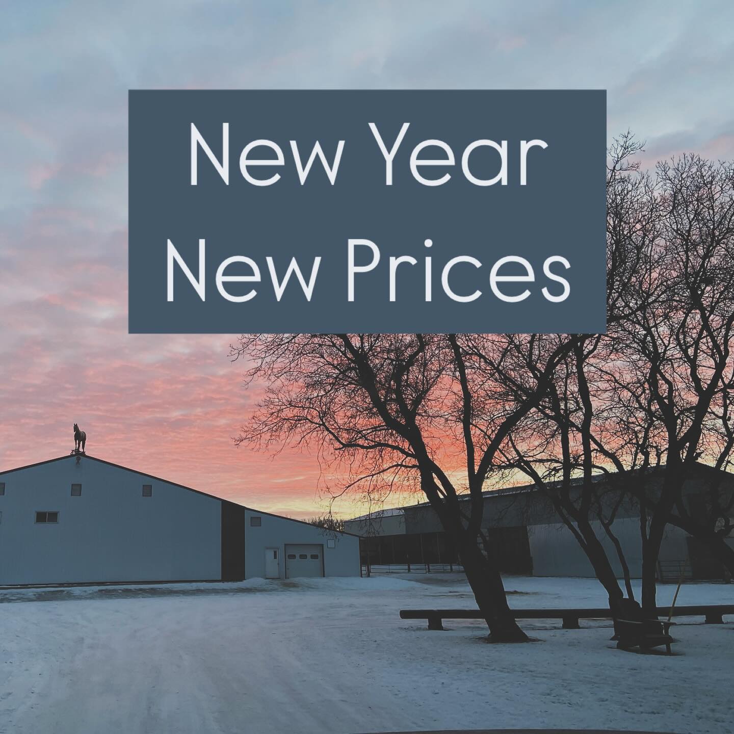 Miracle Ranch | Winnipeg MB
