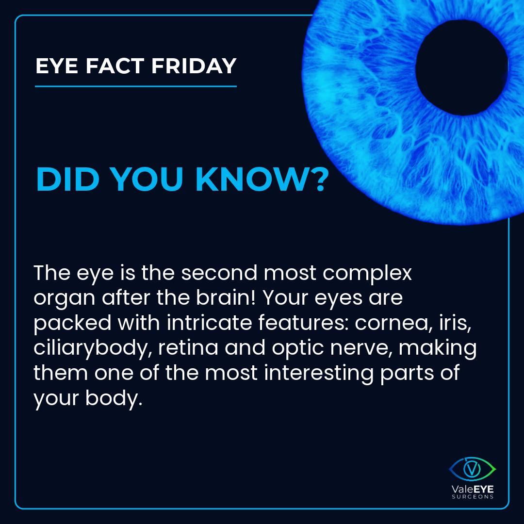 Vale - 👁️ Eye Fact Friday 👁️ Did you know your eye is the second most ...