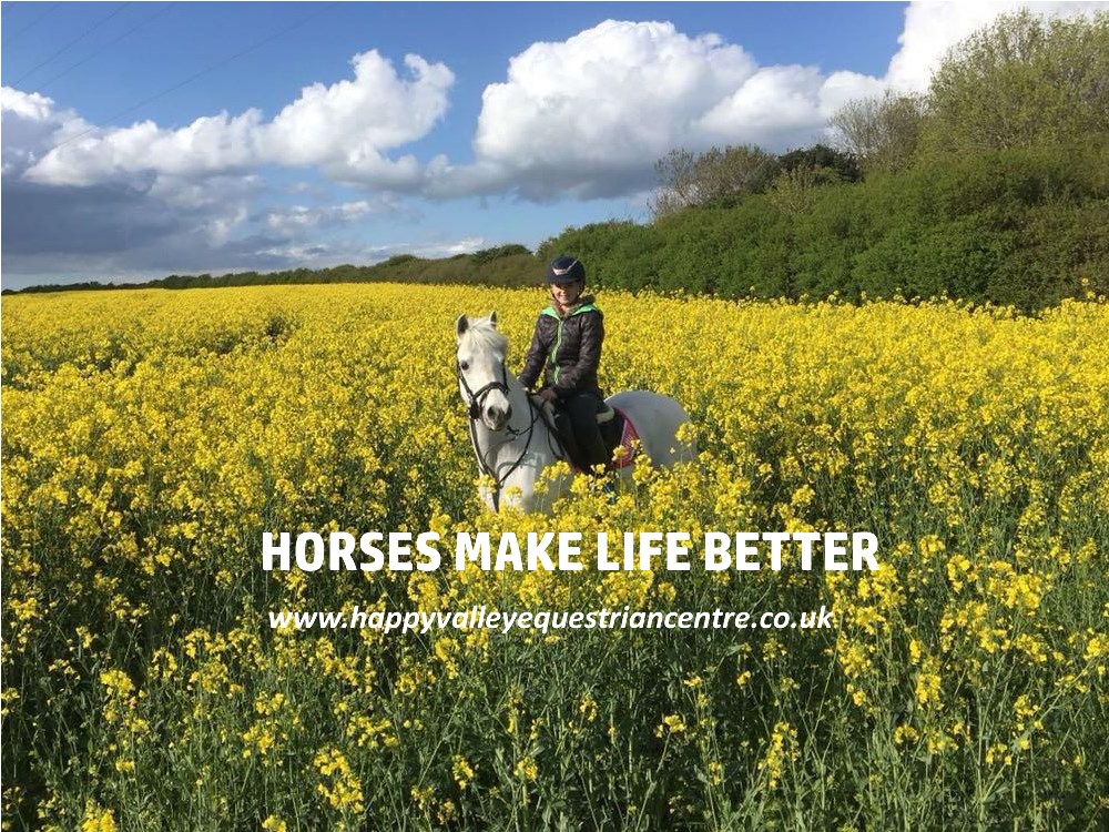 Happy Valley Riding School | Shoreham-by-Sea
