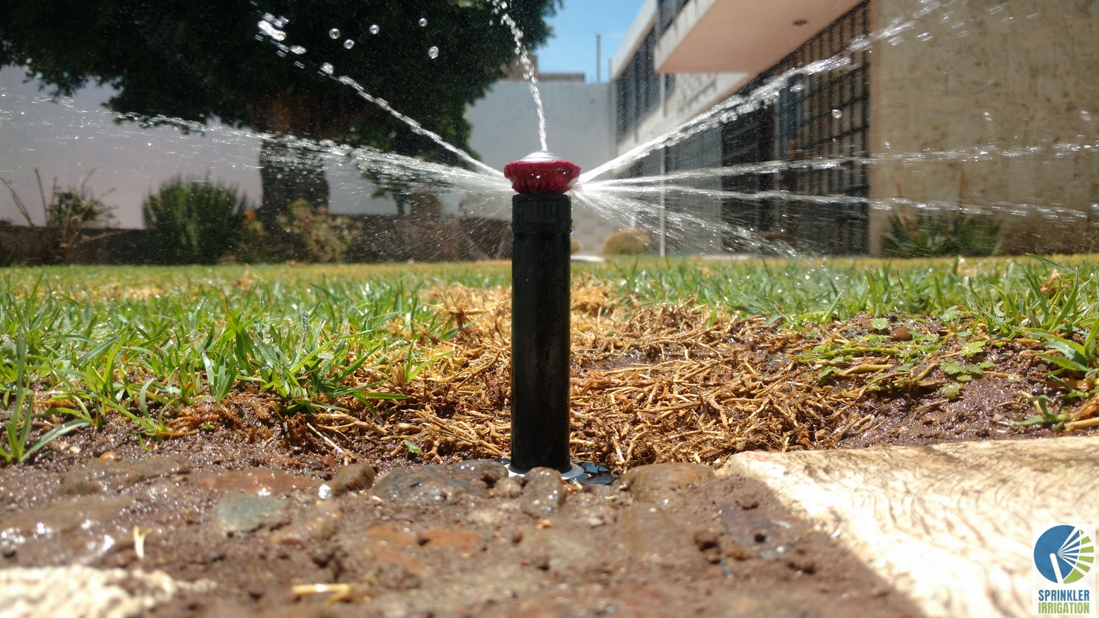 Sprinkler Irrigation