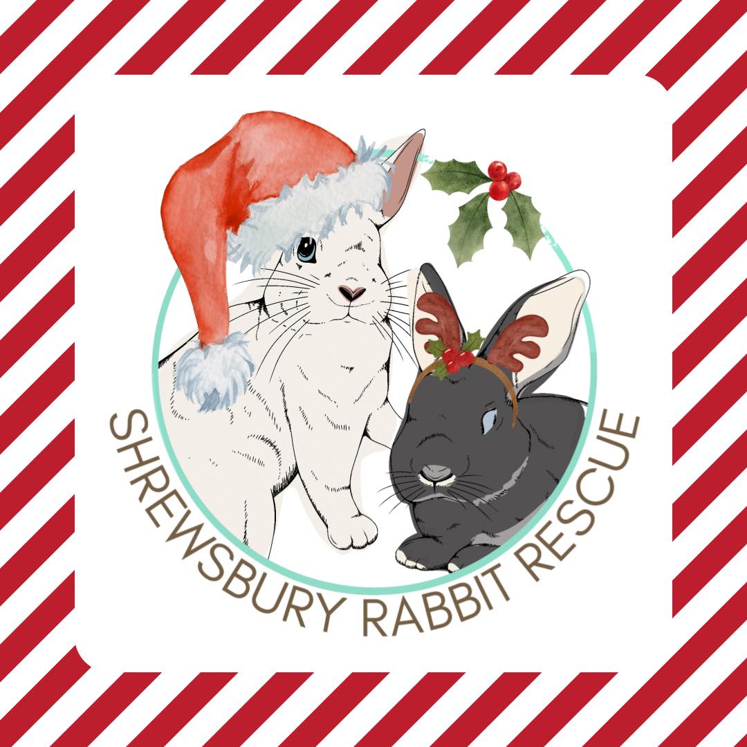 Shrewsbury Rabbit Rescue | Shrewsbury
