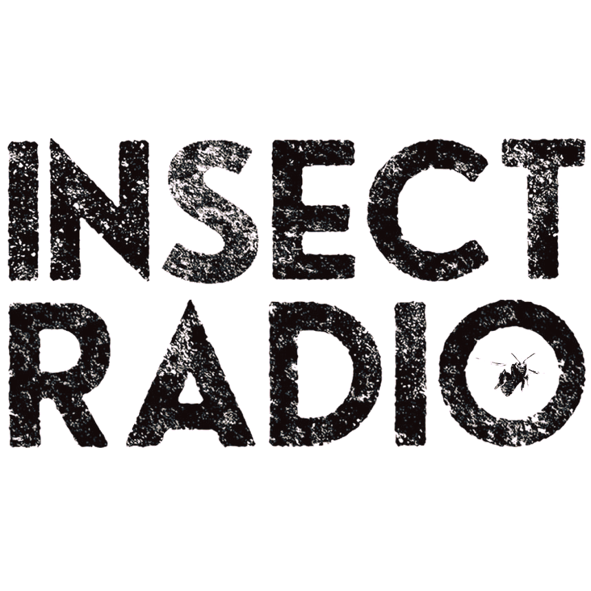 Insect Radio