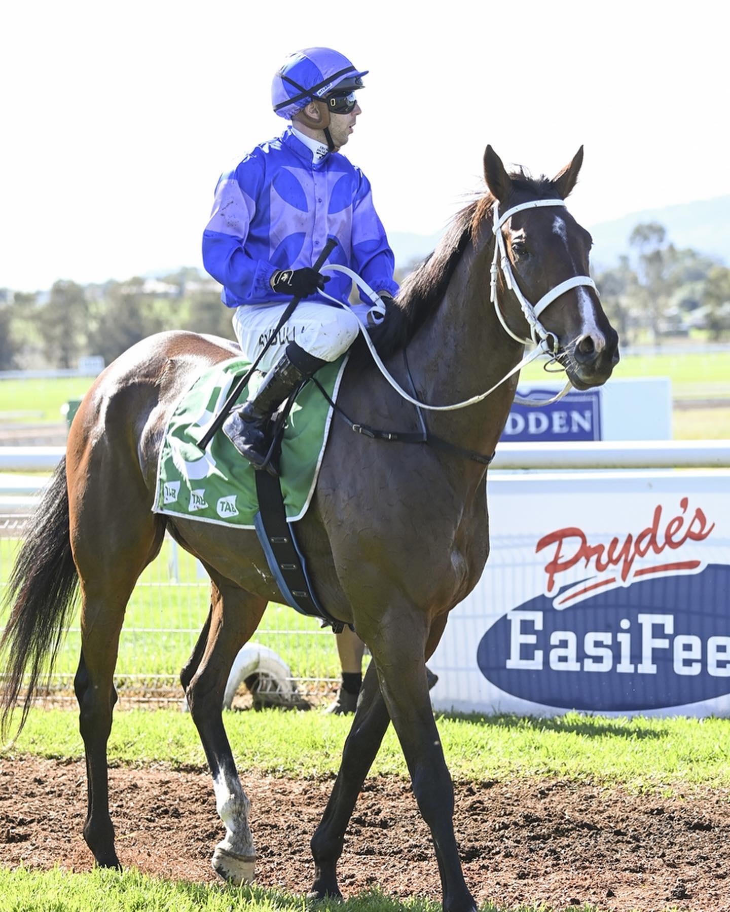 ‘What’s In A Name Wednesday……..’... - Chris Waller Racing
