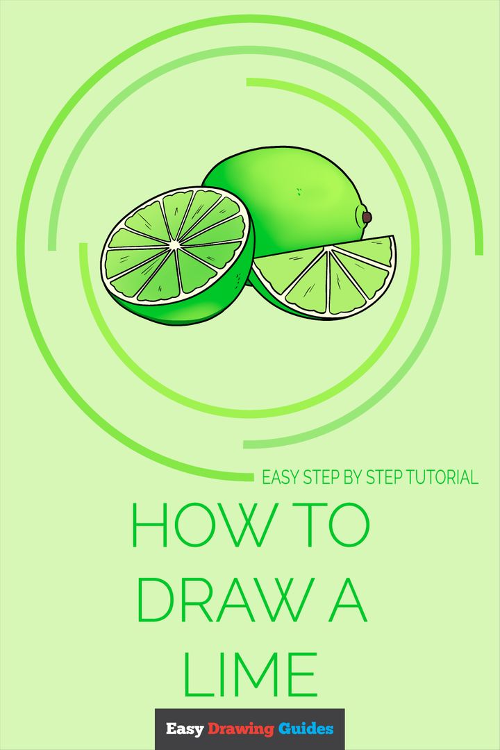 Learn How to Draw a Lime: Easy... - Easy Drawing Guides