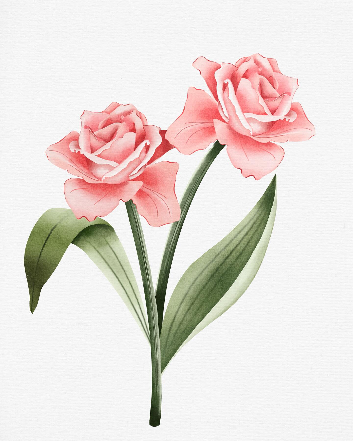Art - Soft pink roses. #procreate #procreateart #procreatedrawing # ...