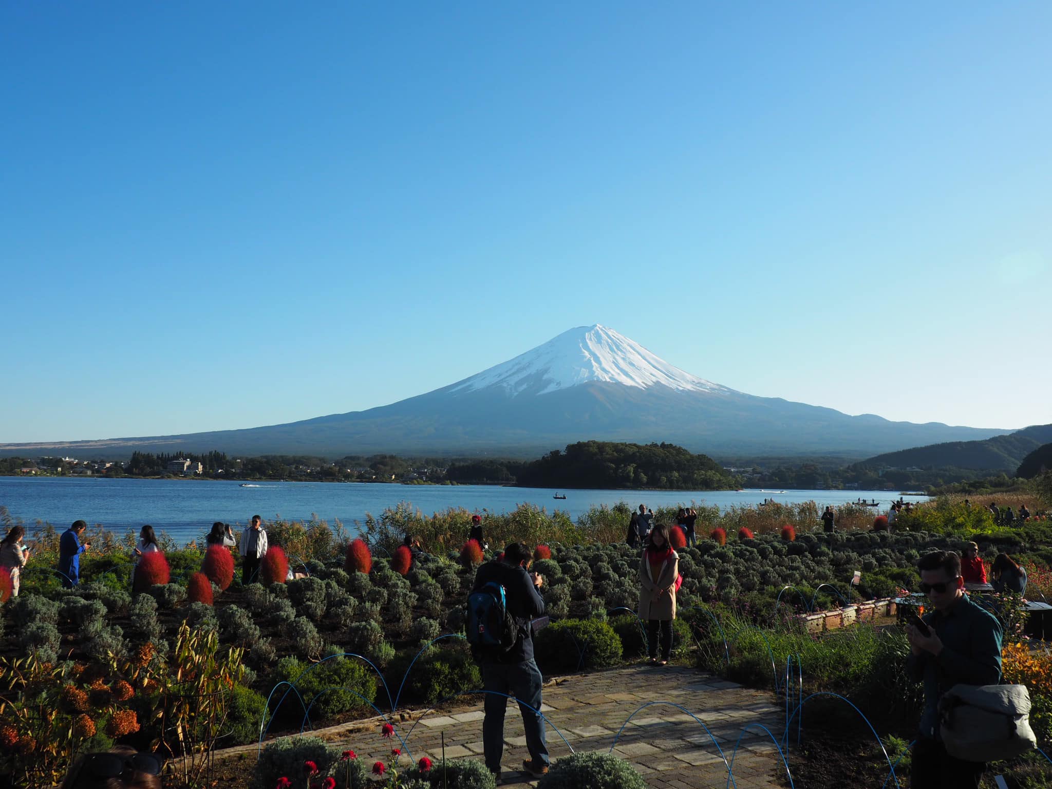 Matane Japan - วันนี้หิมะลงที่ฟูจิ 🗻...