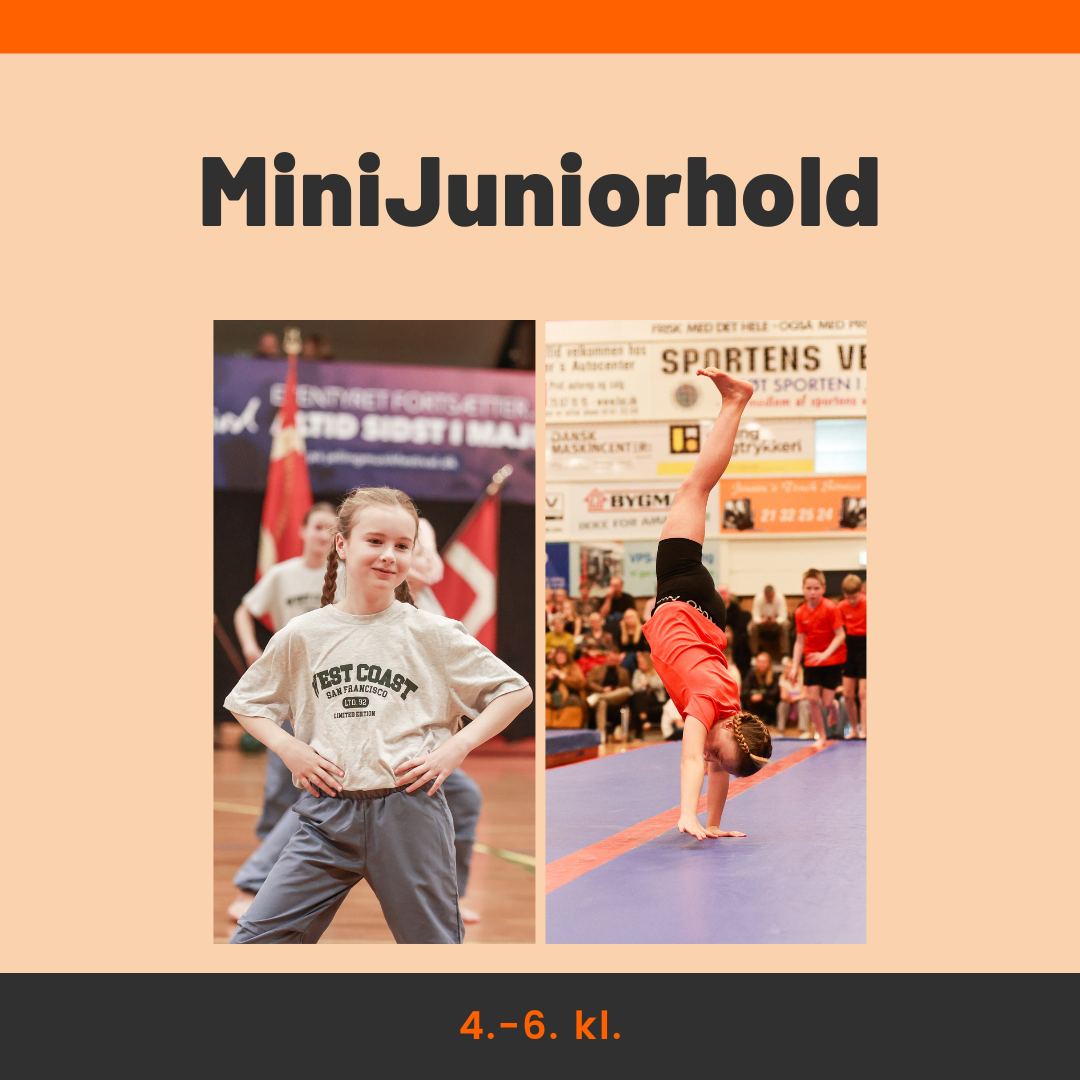 Jelling fS Gymnastik