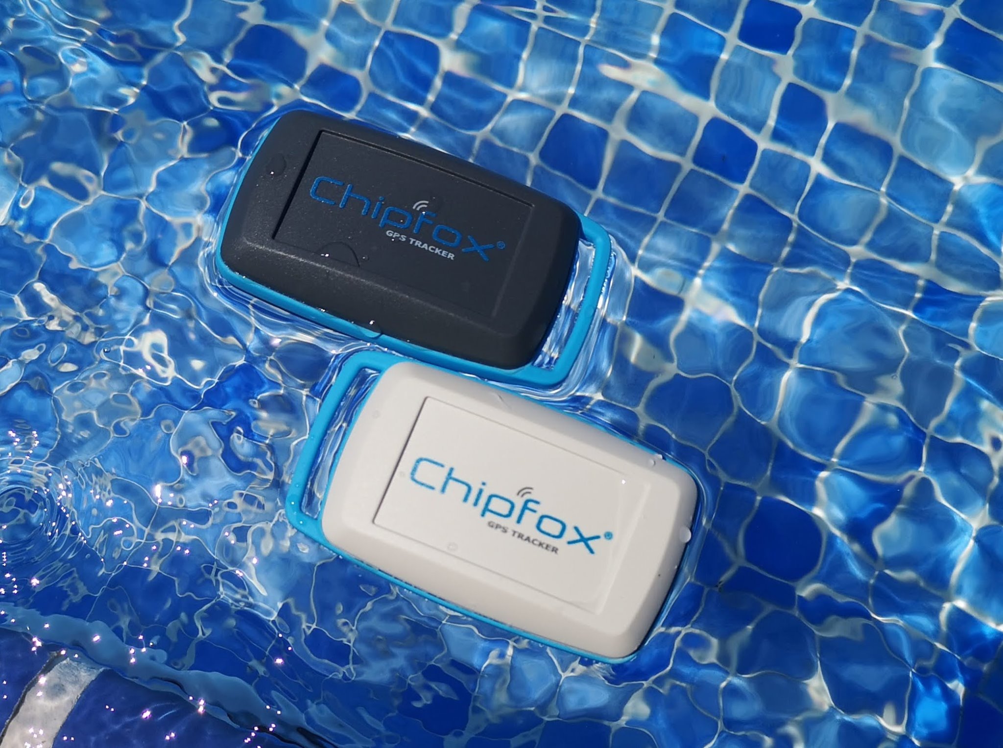 Chipfox.ES