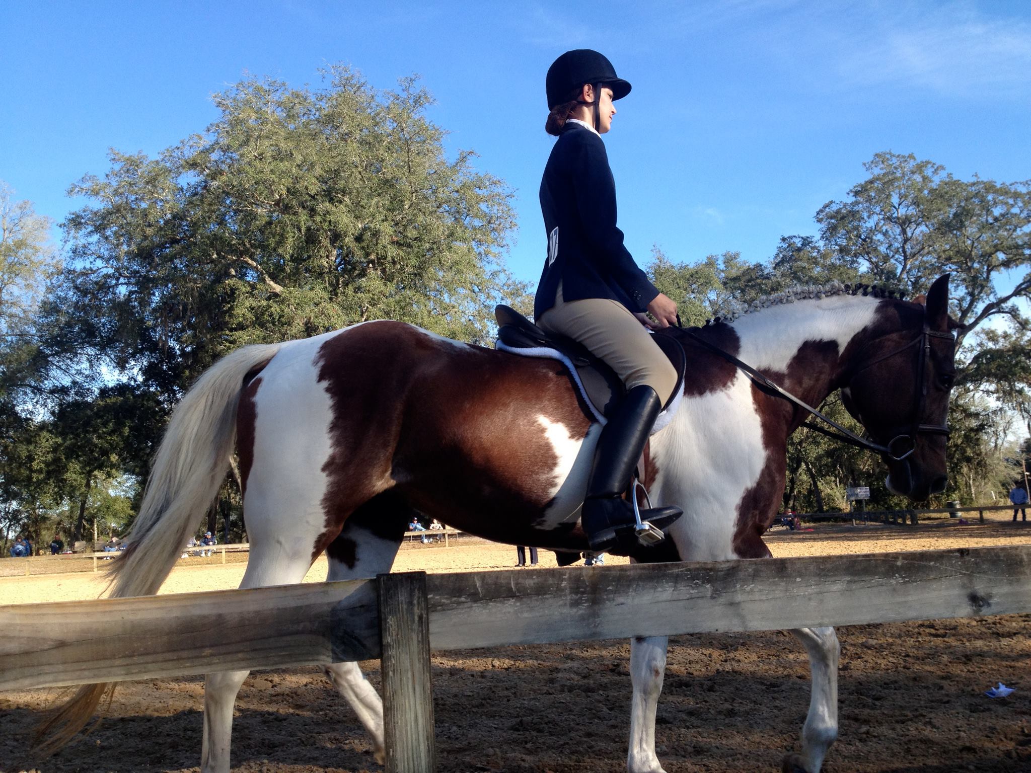 Diamond P Equestrian Center | Saint Cloud FL