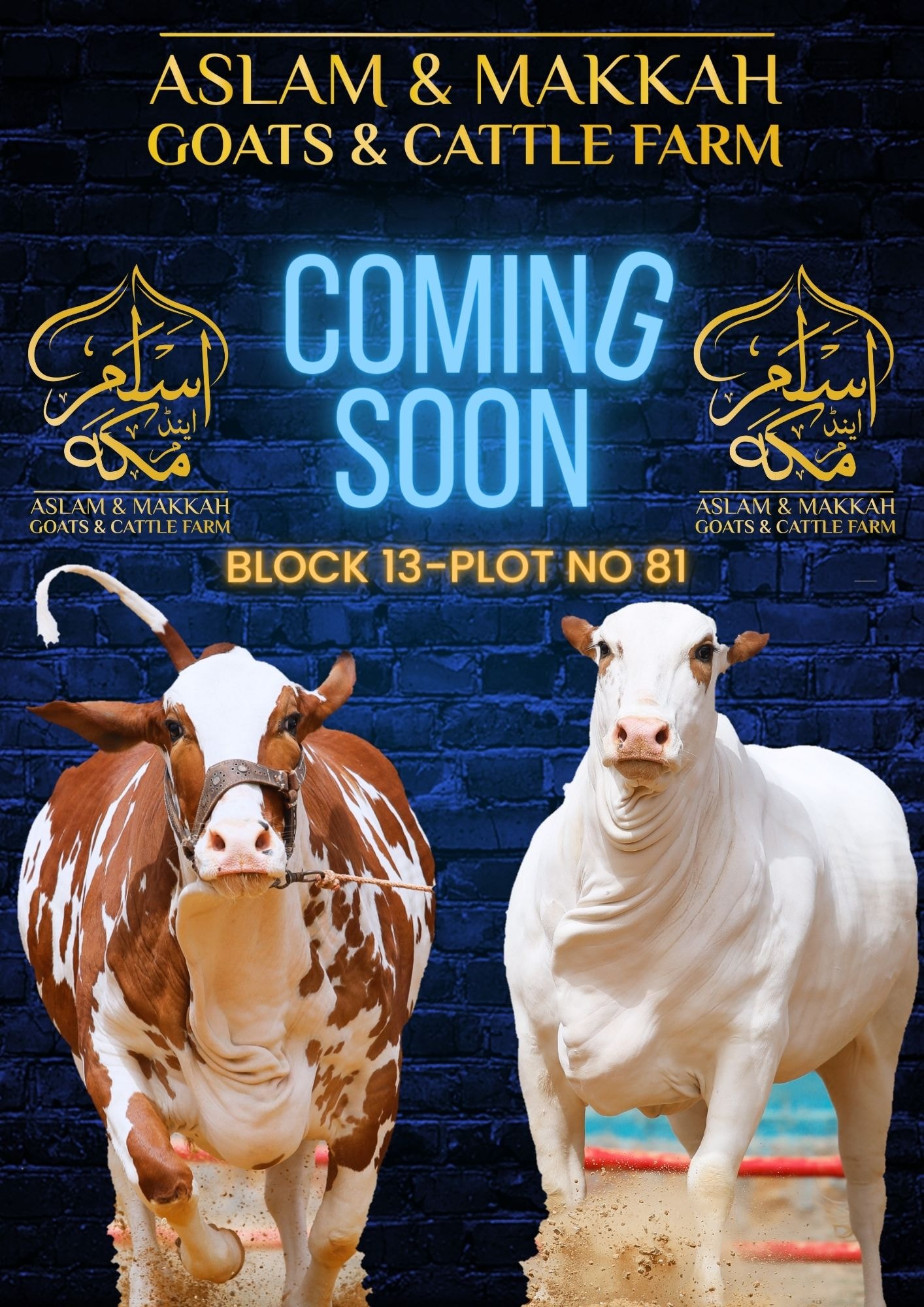 INSHA ALLAH .. - Aslam and Makkah Cattle & Goat Farms | Facebook