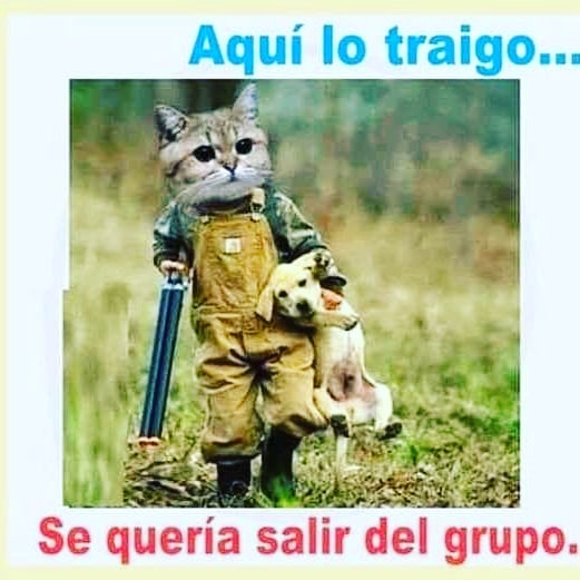 Memeo de Risa - 😁😁😁😁😁😁😁😁😁😁 🤪 Memes 😅Chistes 😂 Risas 🤣Humor 😆 ...