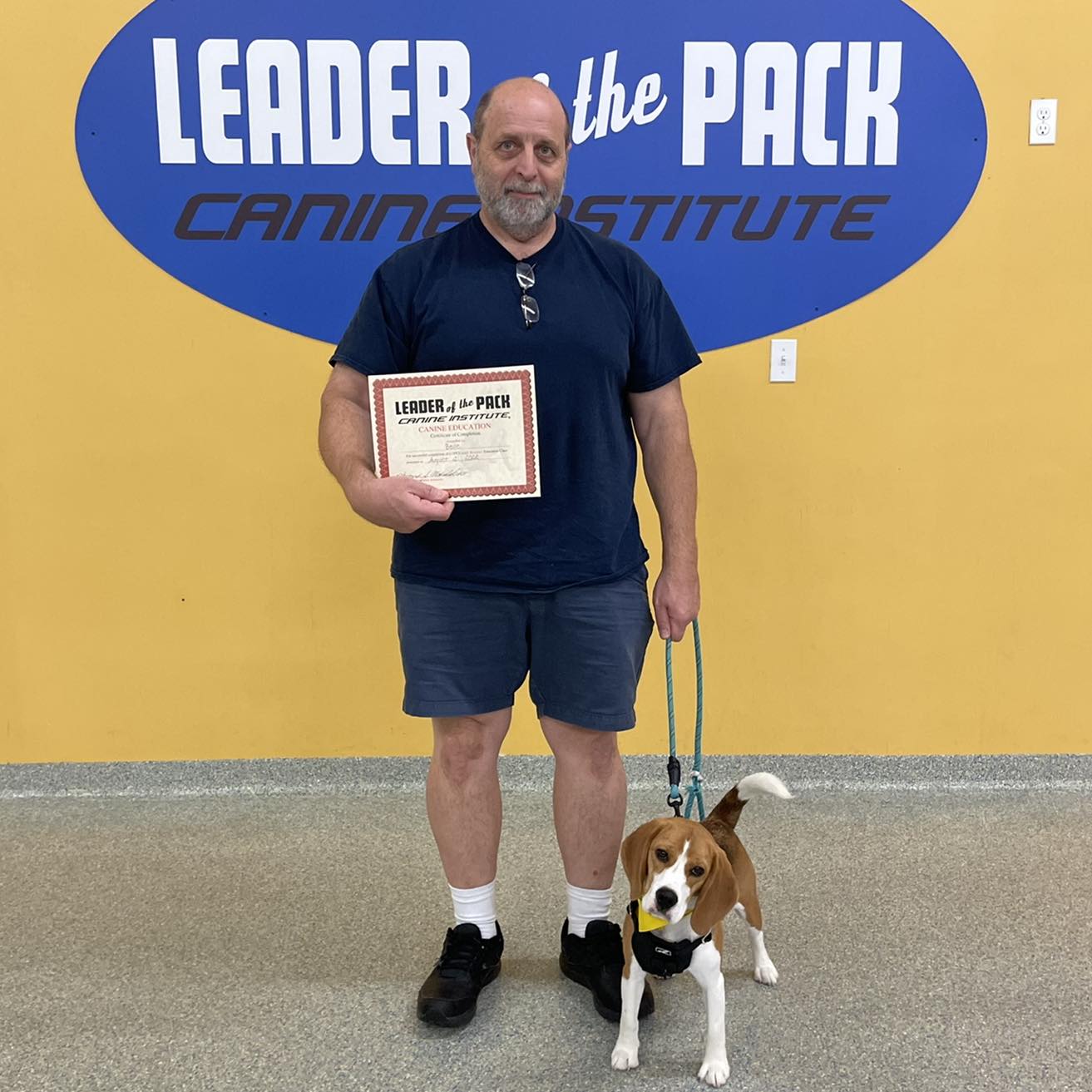 Leader of the Pack... - Leader of the Pack Canine Institute