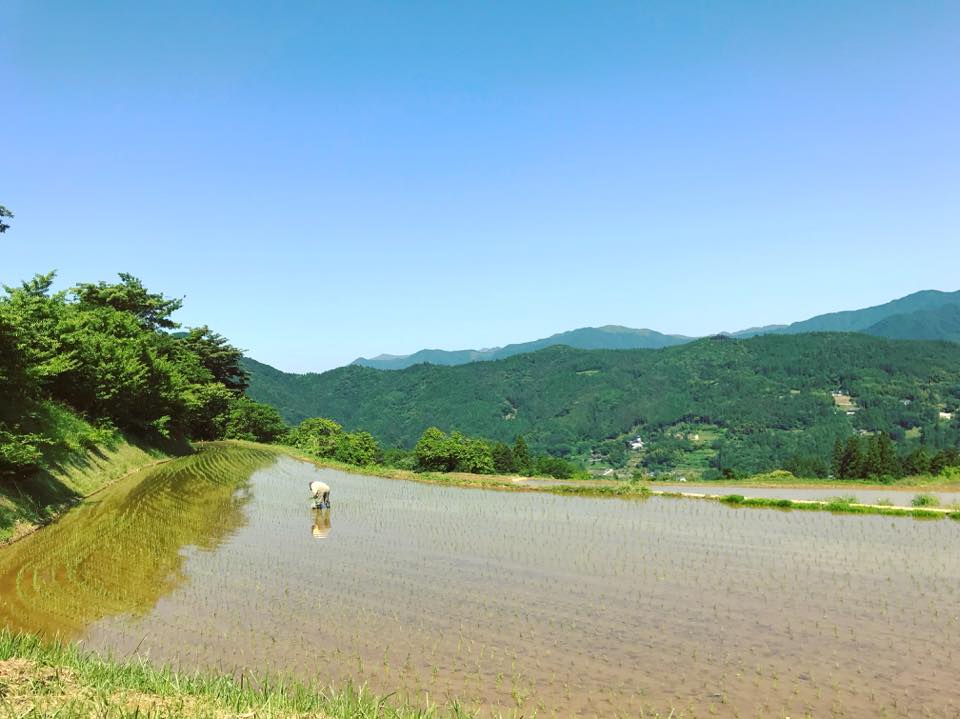 土佐さめうら観光協会 道の駅土佐さめうら Home Facebook