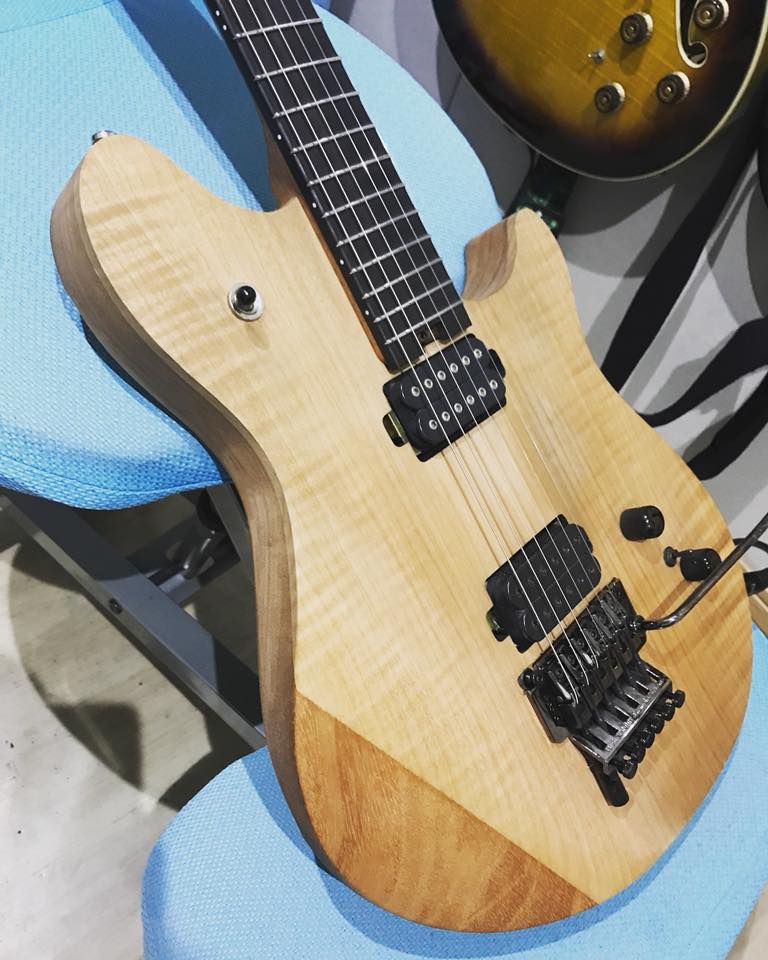 The Dimarzio Fusion Edge !!! Absolutely amazing !!! I'm literally