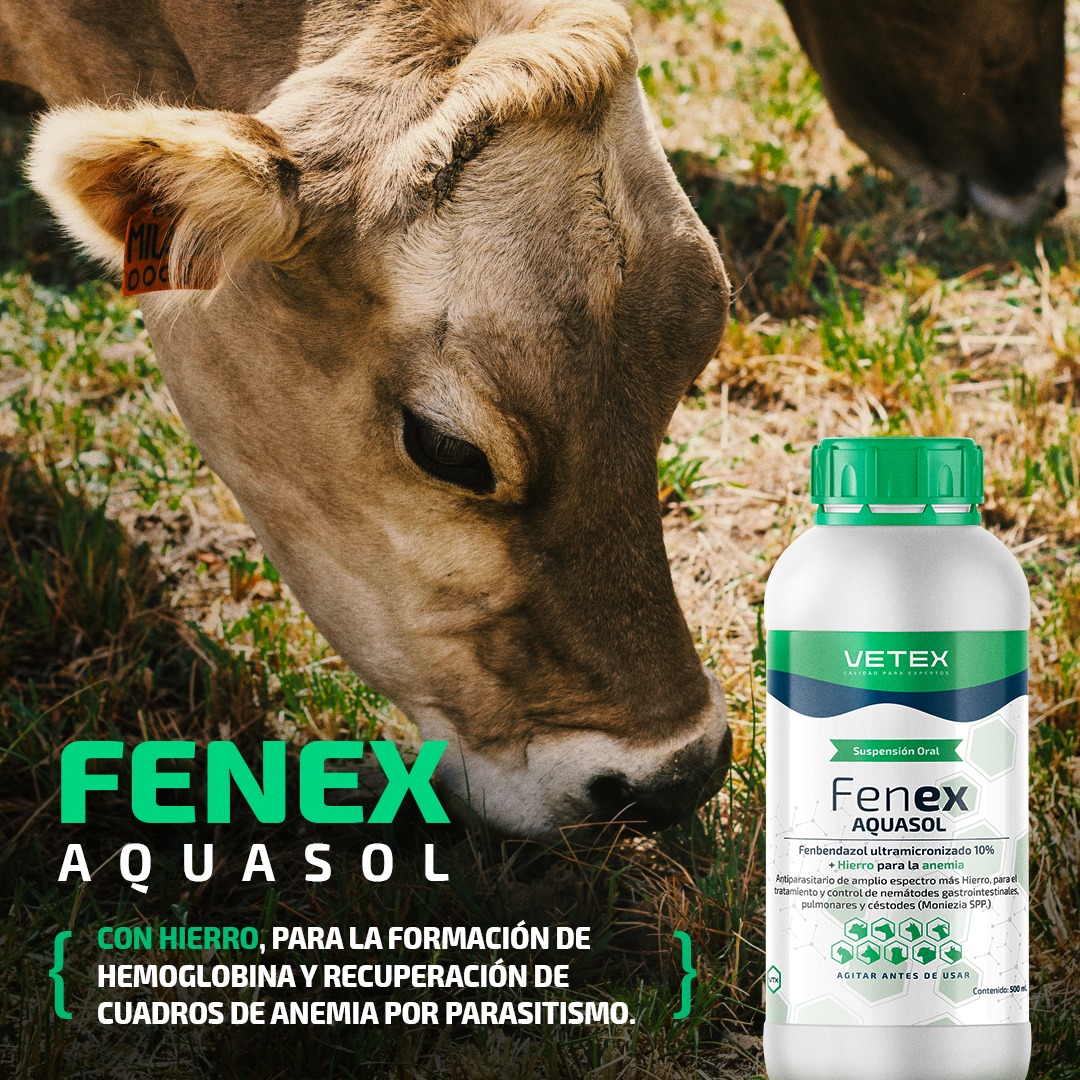 Vetex - ¡Prueba Fenex Aquasol! Único con Fenbendazol ultramicronizado ...