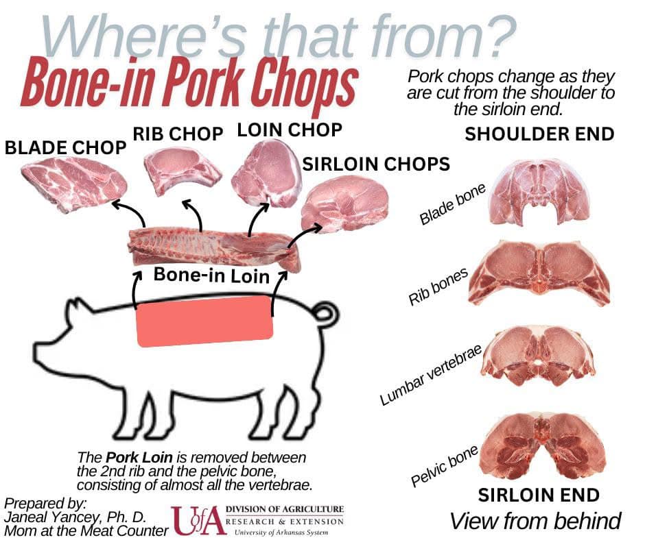 North - A really lovely graphic explaining the different “pork chops ...