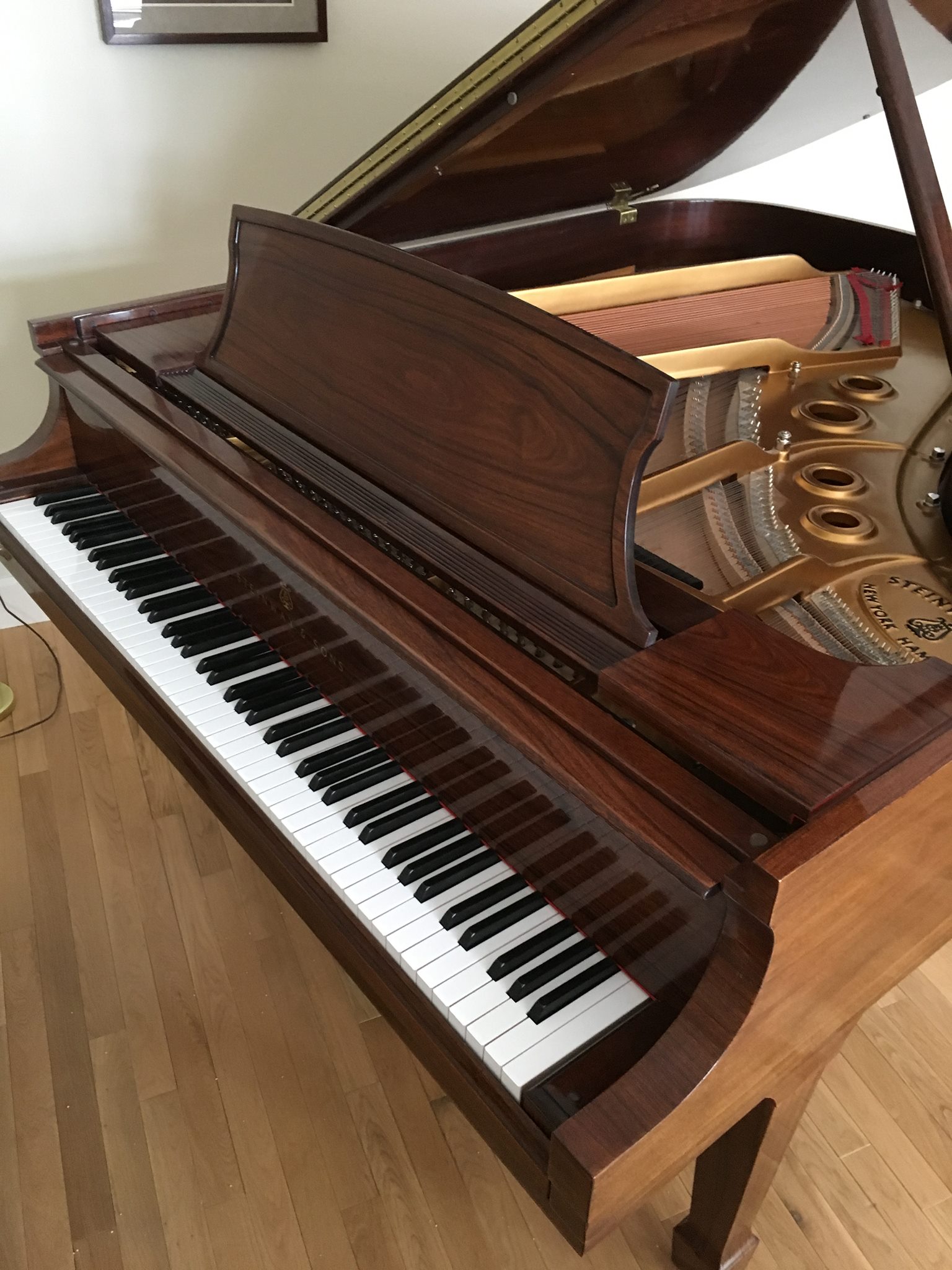 A 440 Piano Service | Montana City MT
