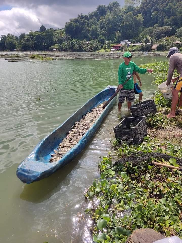 LOOK: Fish cage operators... - DXOM Radyo Bida Koronadal City | Facebook