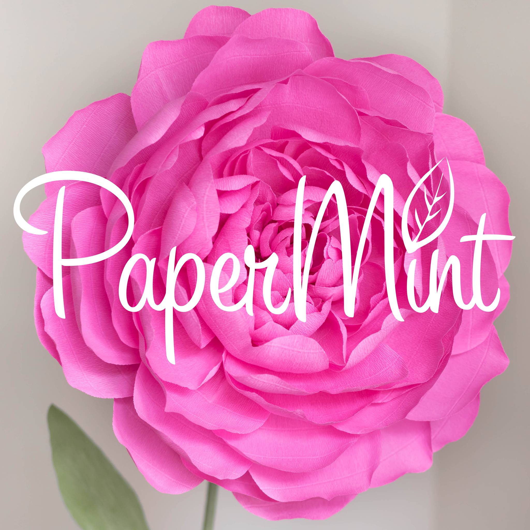 PaperMint paper art studio - Большие бумажные цветы очень фотогеничны ...