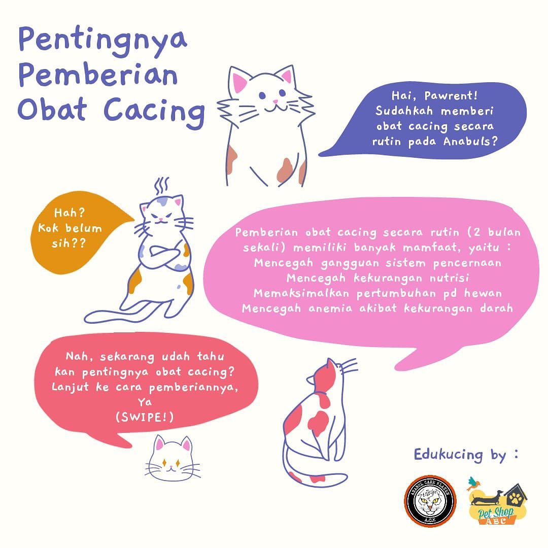 🐾🐾 jangan lupa obat cacing kucing... - ABC 2 Petshop Klaten | Facebook