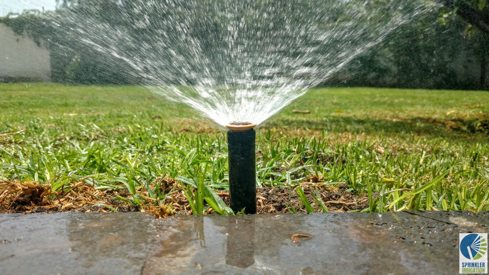 Sprinkler Irrigation