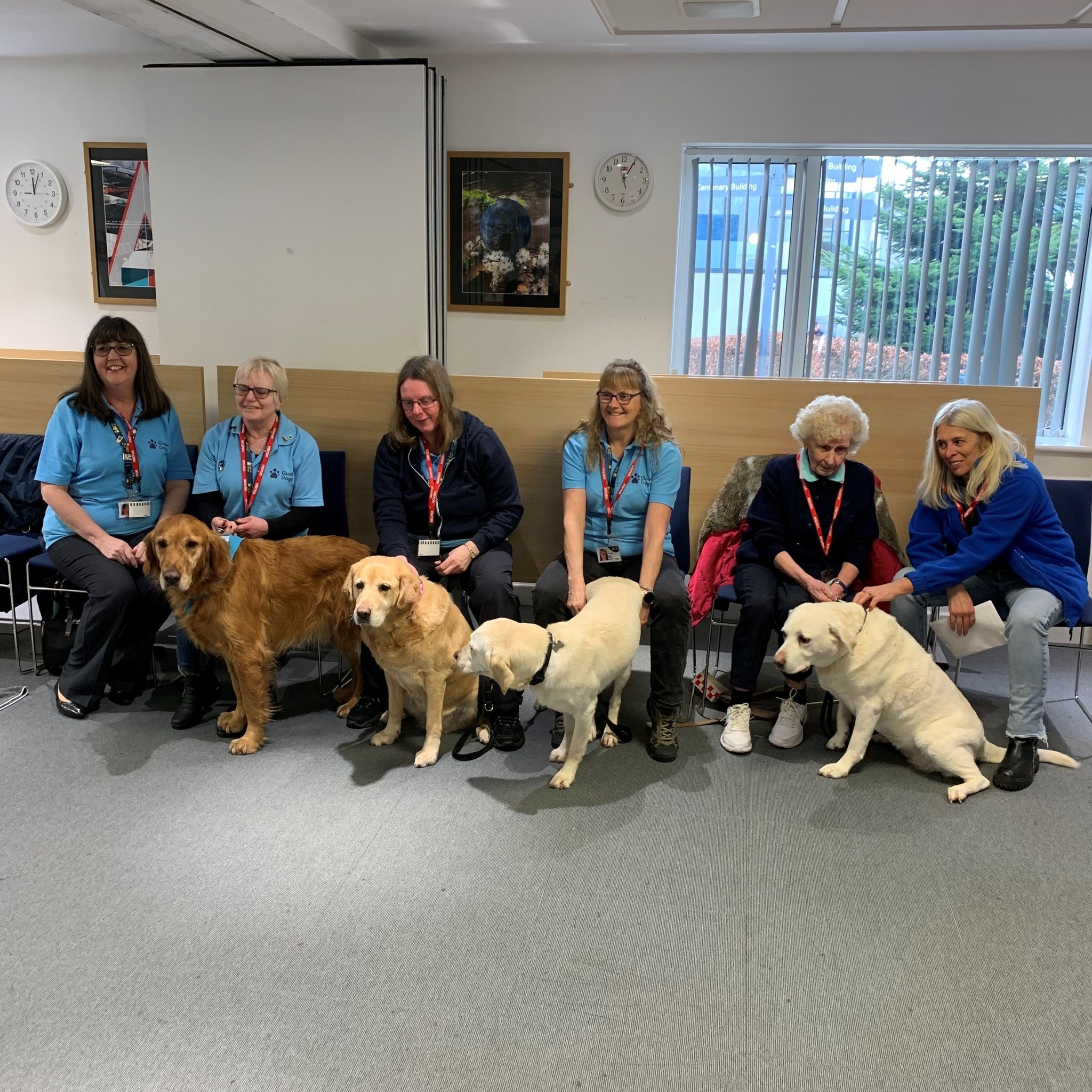 Earlier this month, volunteers... - Guide Dogs North West | Facebook