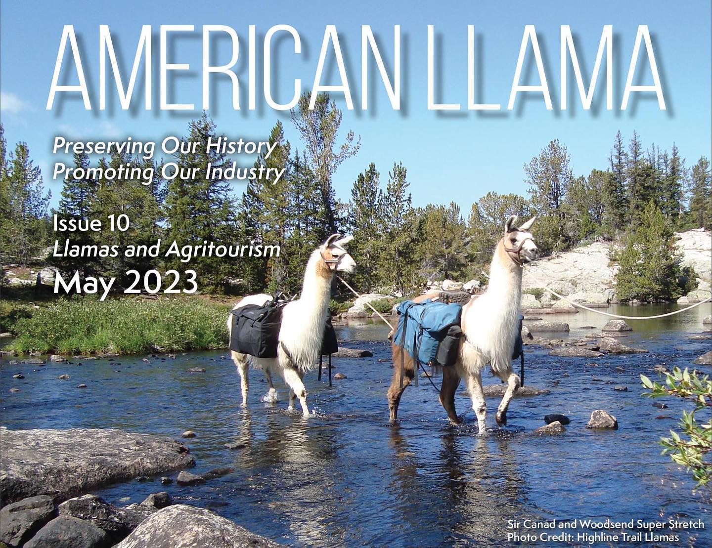 Misty - American Llama Issue 10 is now available! It features an ...