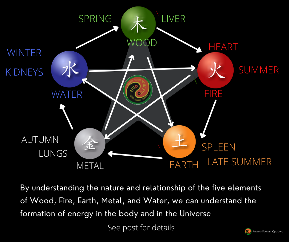 Spring - In Qigong, we are studying and working with energy: how it ...