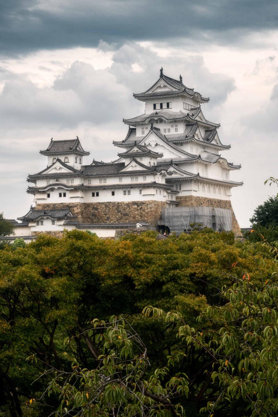 桜香る姫路城 ジグソーパズル2016 JPN castle Himeji-jo Himeji-jo