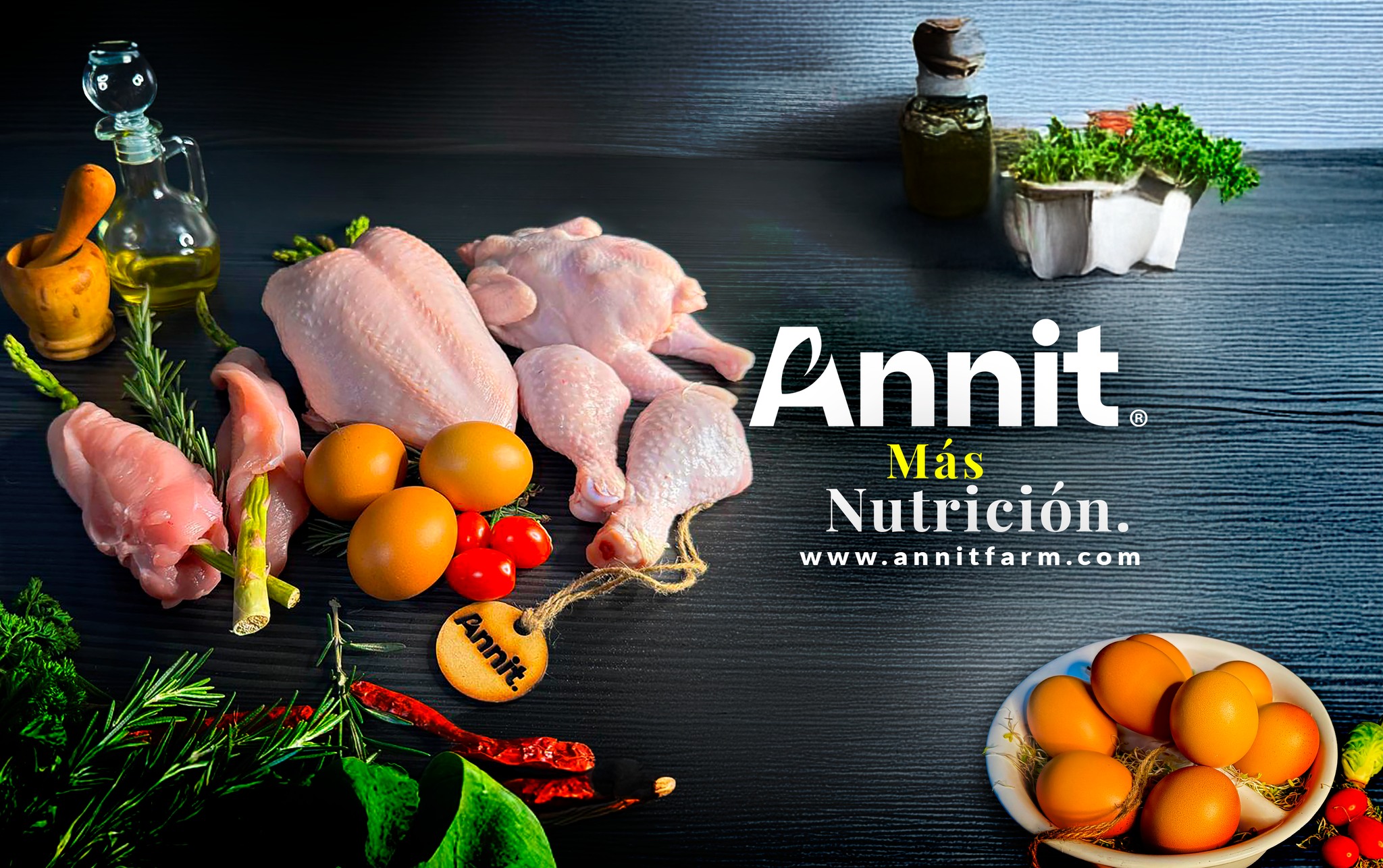 ANNIT | San Francisco del Rincón