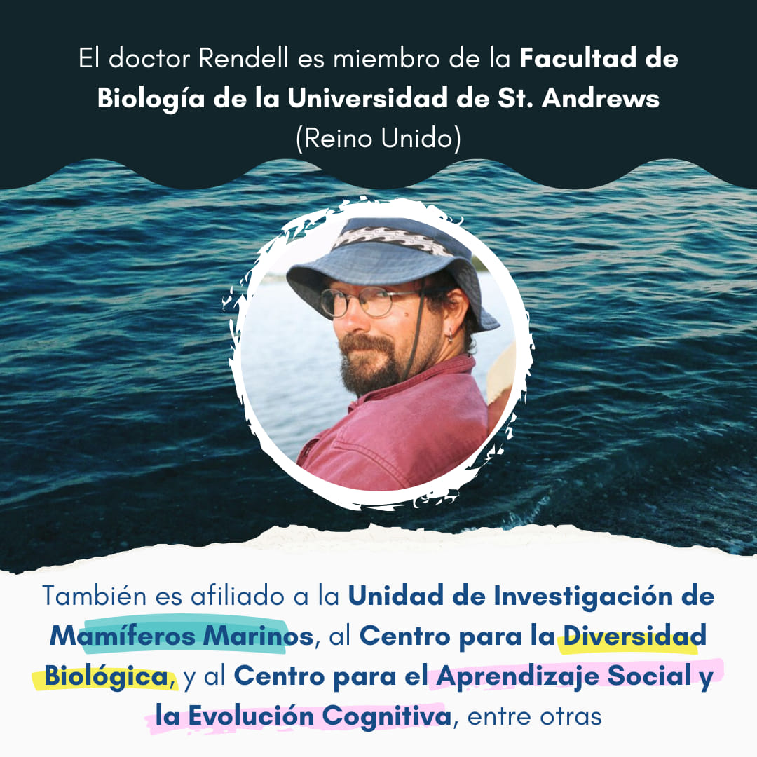 SECAC - 🧐📚¿Sabes quién es el Dr. Luke Rendell? Durante el...