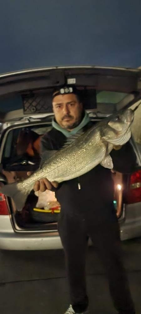 Bledo Pupi na pershendet Teknika... - Sport Fishing Albania