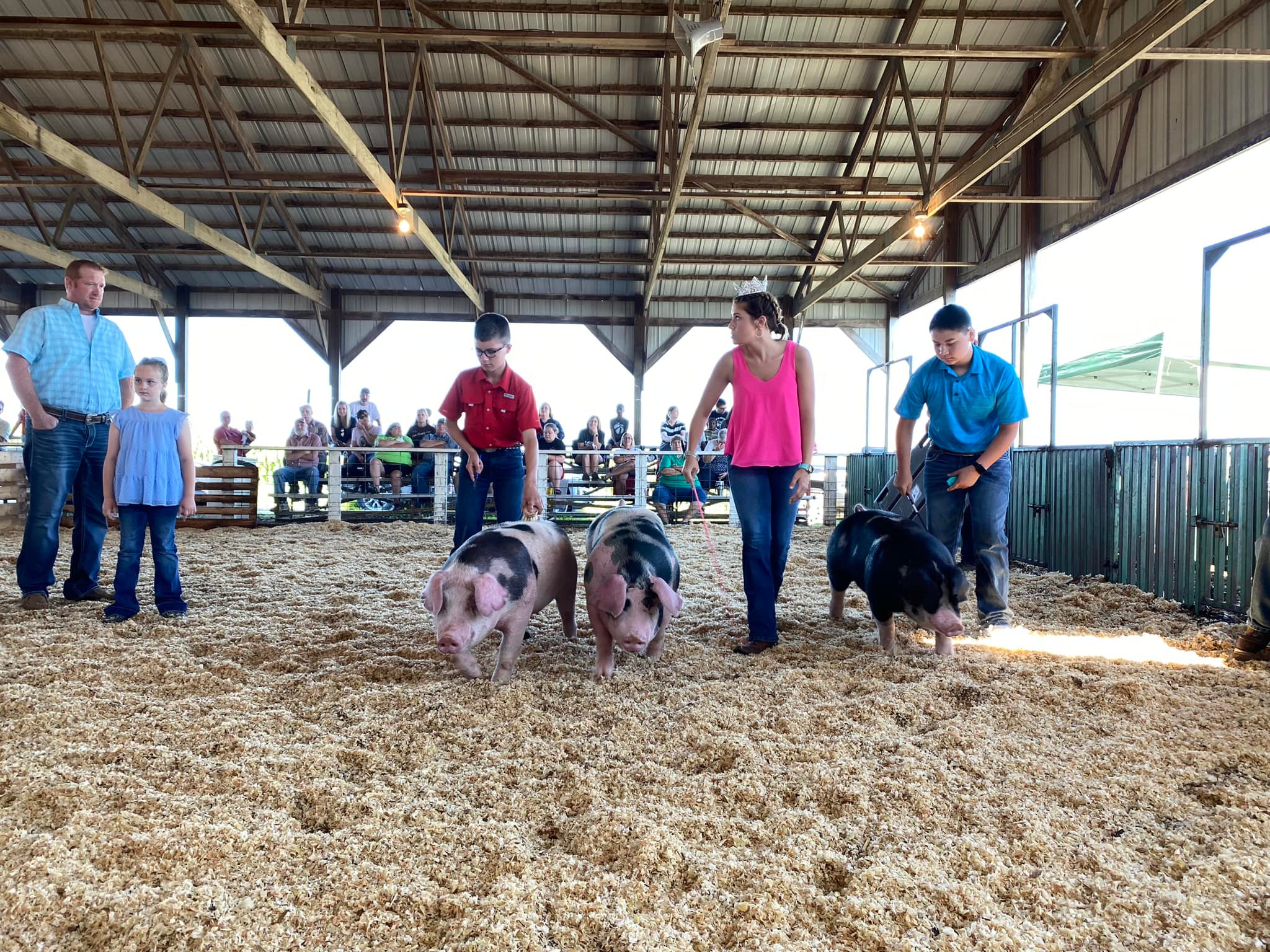 Happy pig day from... - Miss Cass County Fair Queen Pageant