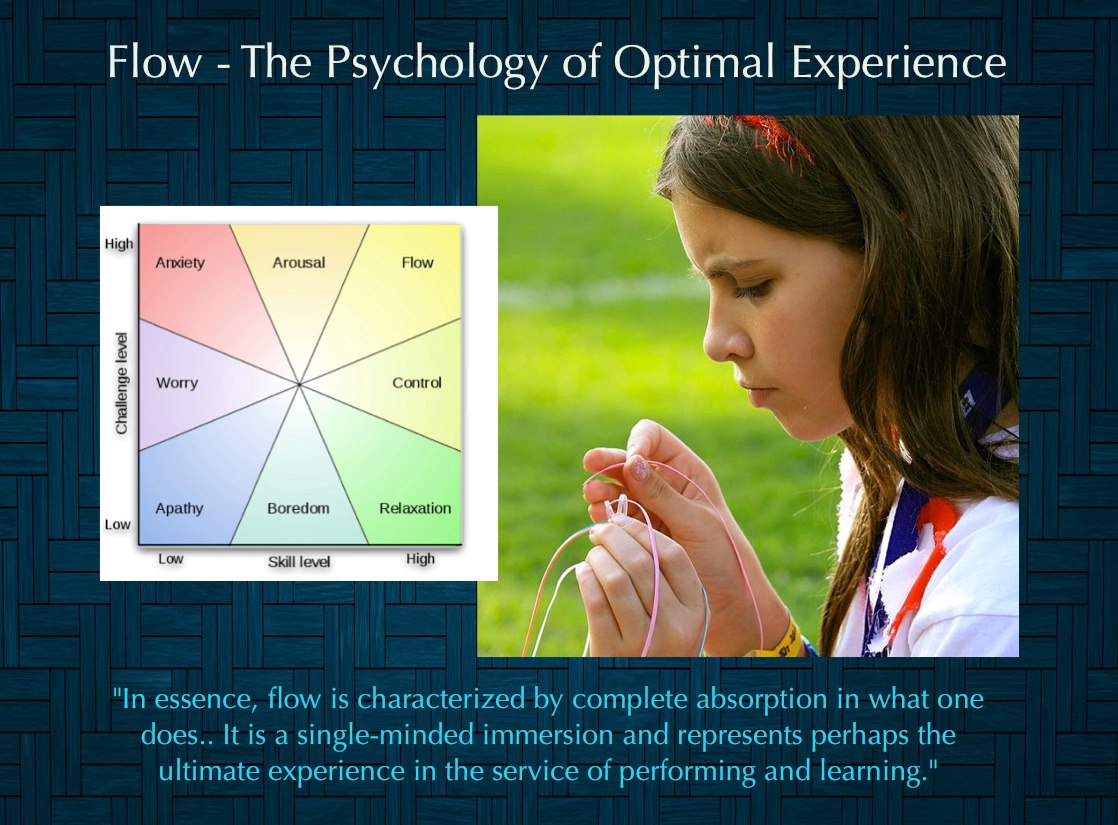The Art of Learning - Flow - The Psychology of Optimal Experience 