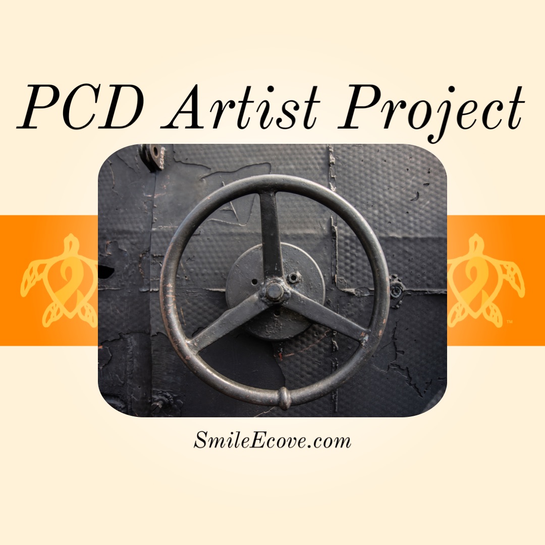 PCD Smiles - The PCD Artist Project is a collaborative...