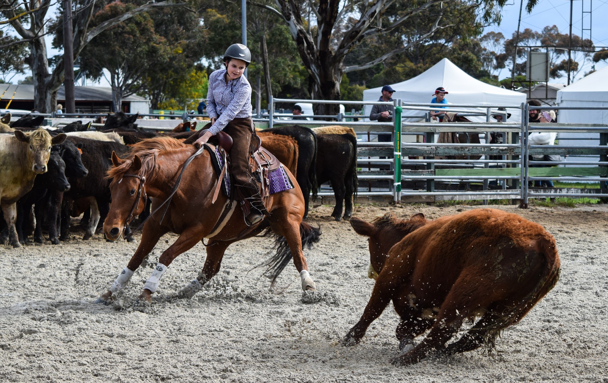 🤠 Berwick! The 𝐌𝟓 𝐁𝐄𝐑𝐖𝐈𝐂𝐊 𝐏𝐑𝐎 𝐑𝐎𝐃𝐄𝐎... - M5Rodeo Promotions | Facebook