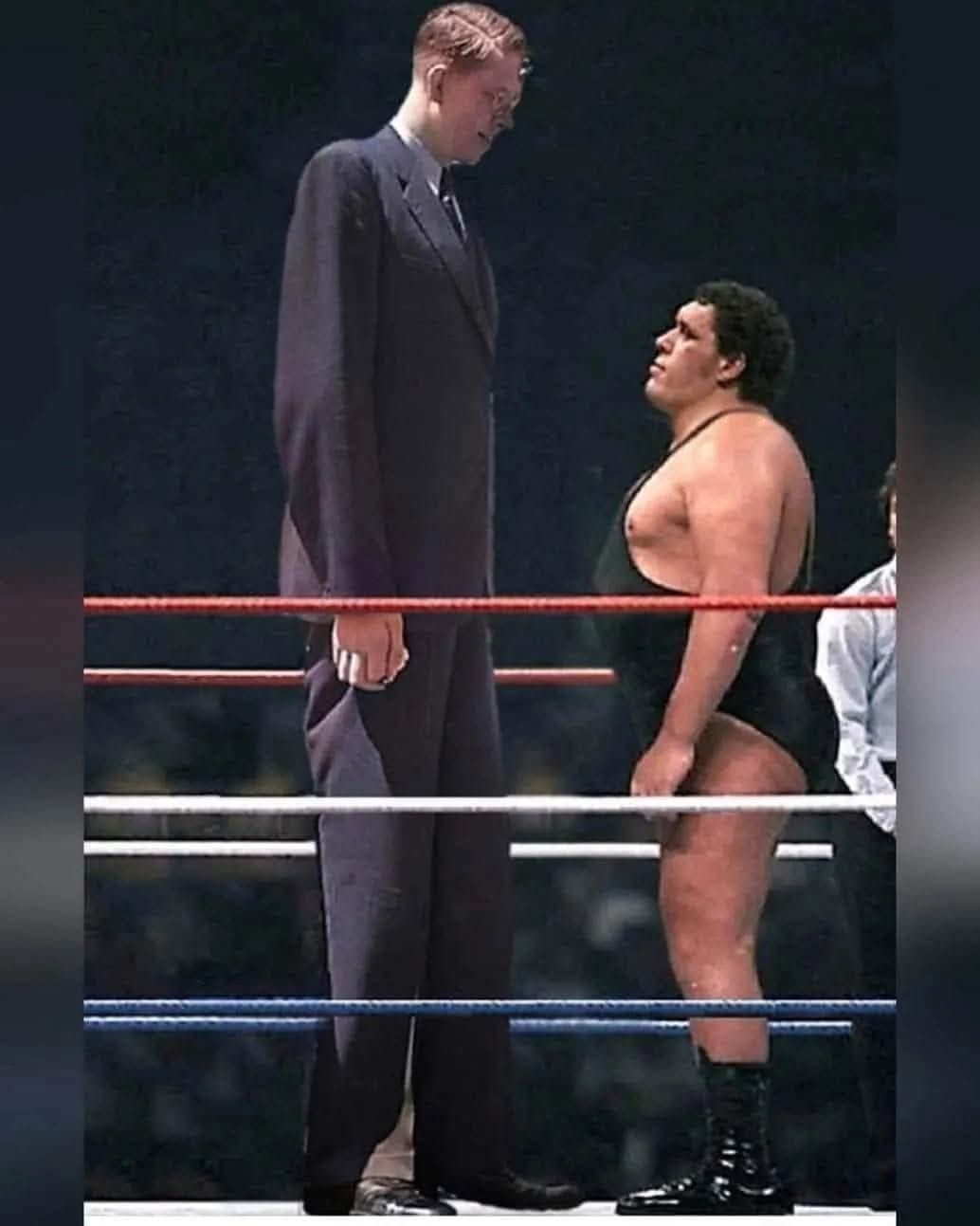 Andre the Giant and Stan Fraizer. Who's taller?