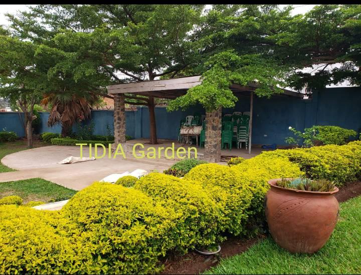 Tidia garden | Blantyre