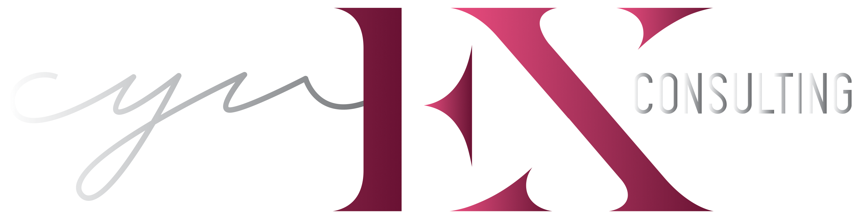 Cynex Consulting, LLC | Austin TX