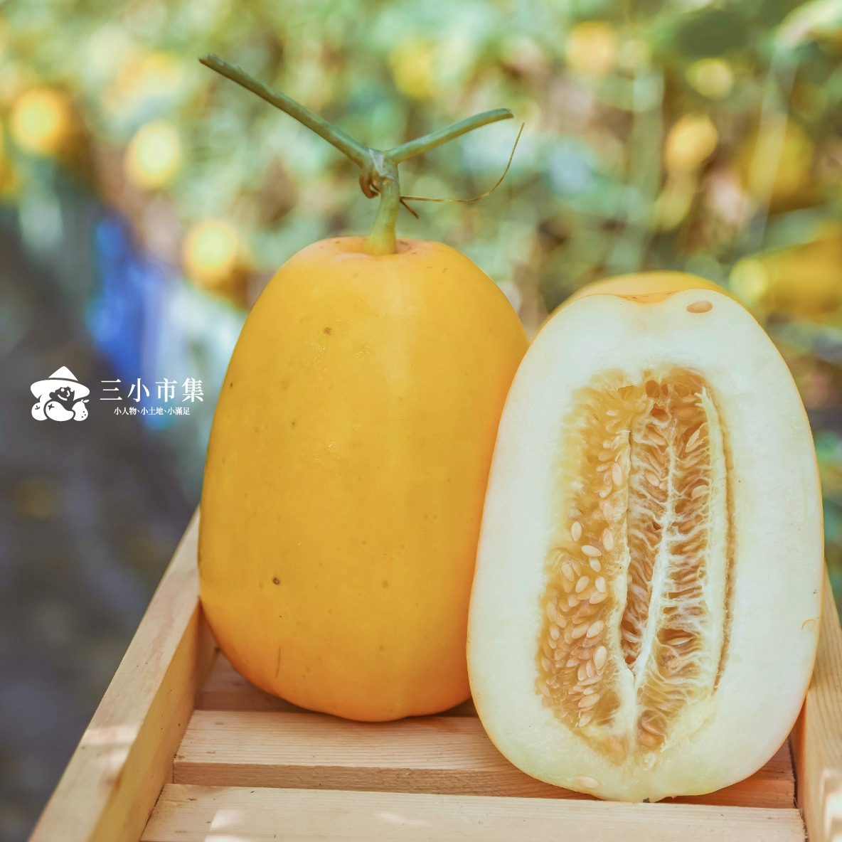 三小市集 - （梨仔瓜預購中！）小巧可愛的梨仔瓜，有著喜氣鮮黃的外表、一切開卻是雪白的瓜肉，就像梨子般因而得名～即日起... | Facebook