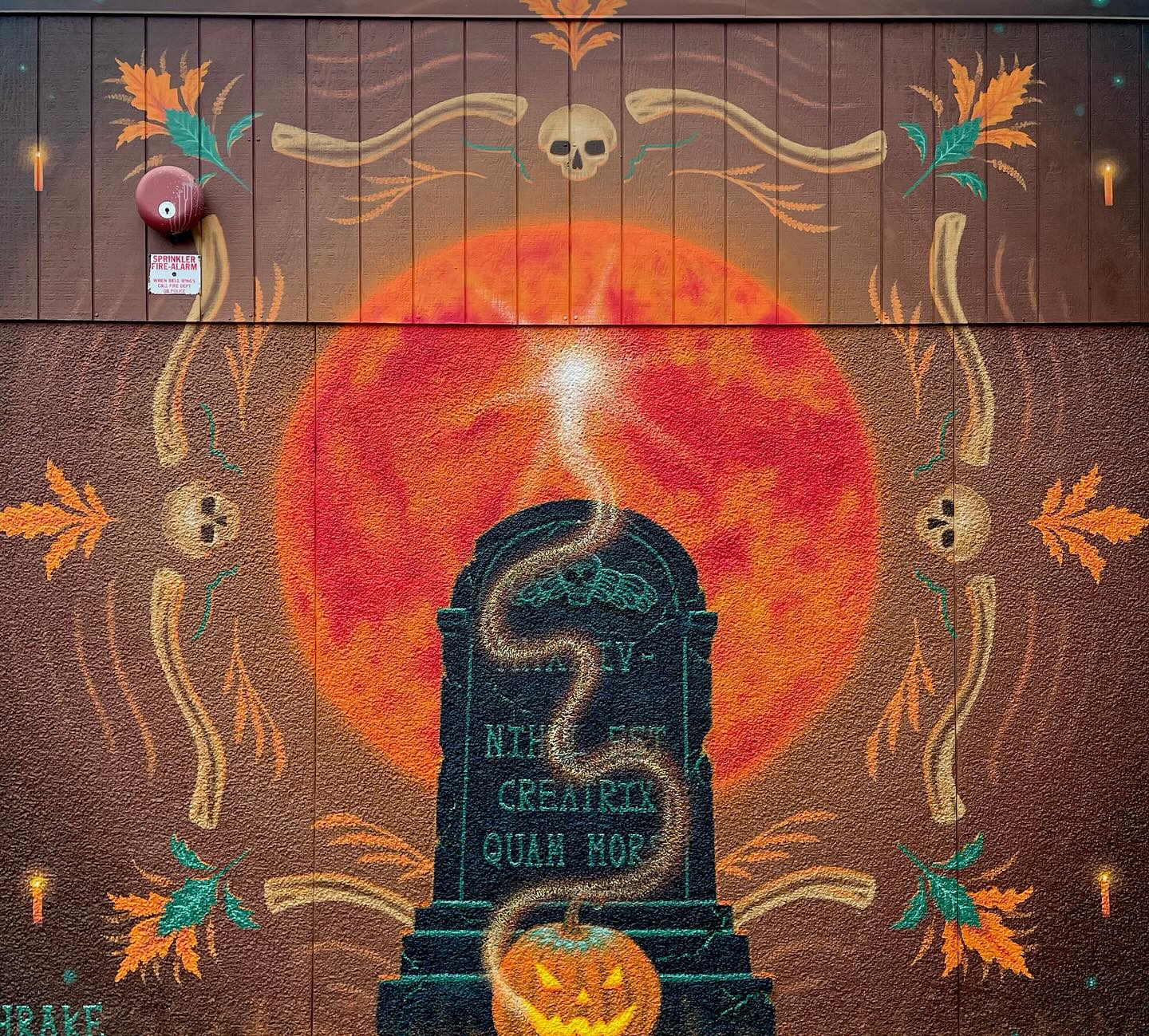 Tyler Shrake Paints