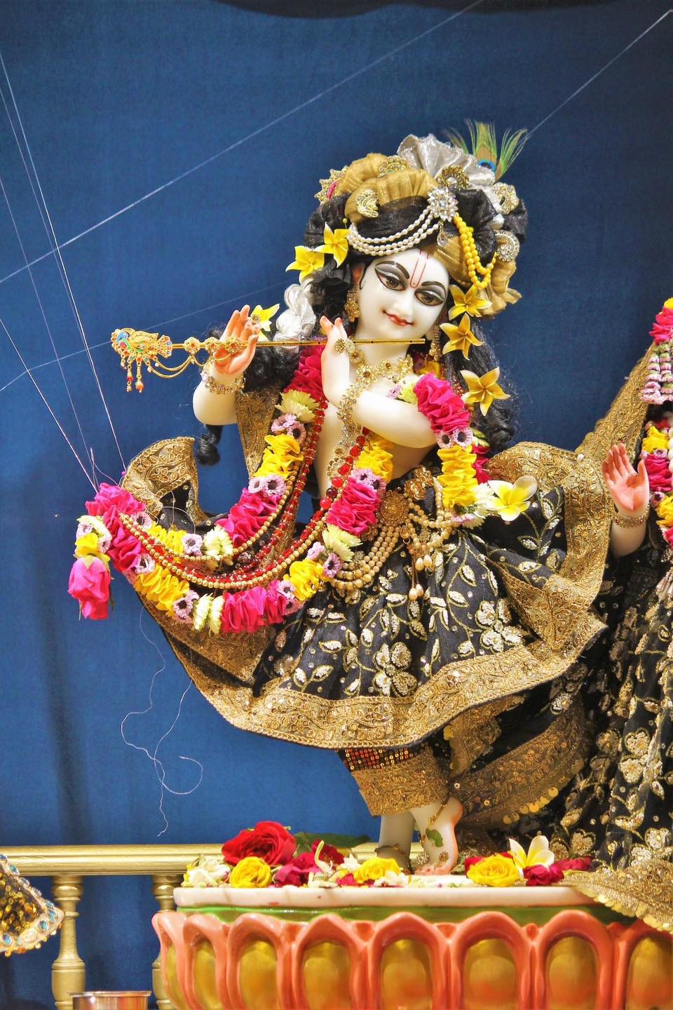 Sri Sri Radha Radhika Raman... - Krishna - The Joy Of Living