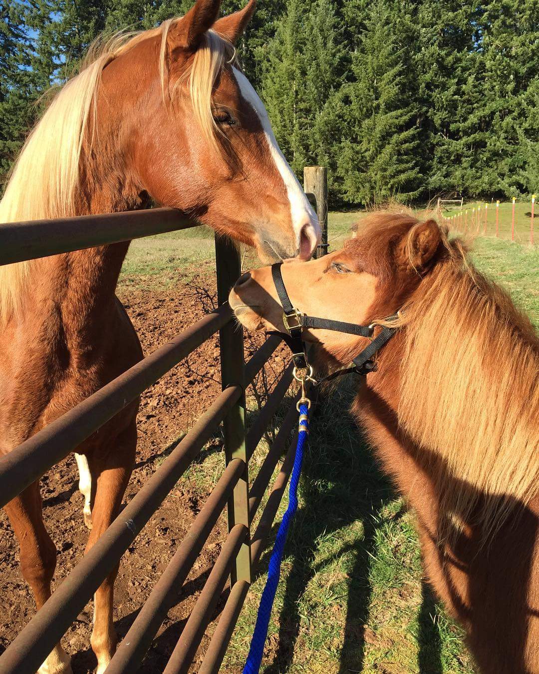 H & H Ranch | Oregon City OR