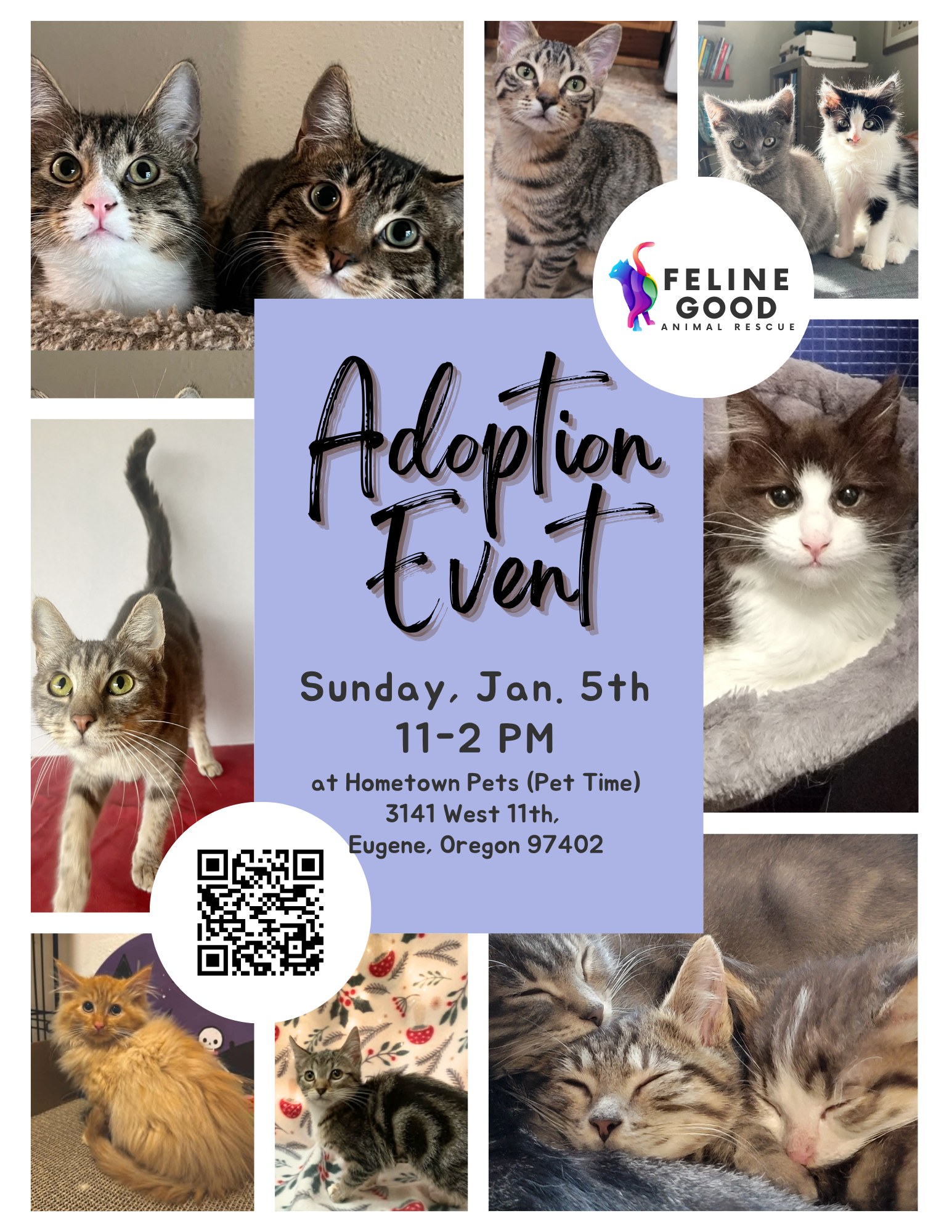 Feline - 🚨🐾 FIRST ADOPTION EVENT OF 2025! 🐾🚨 New year, new cat? 😻 Start ...