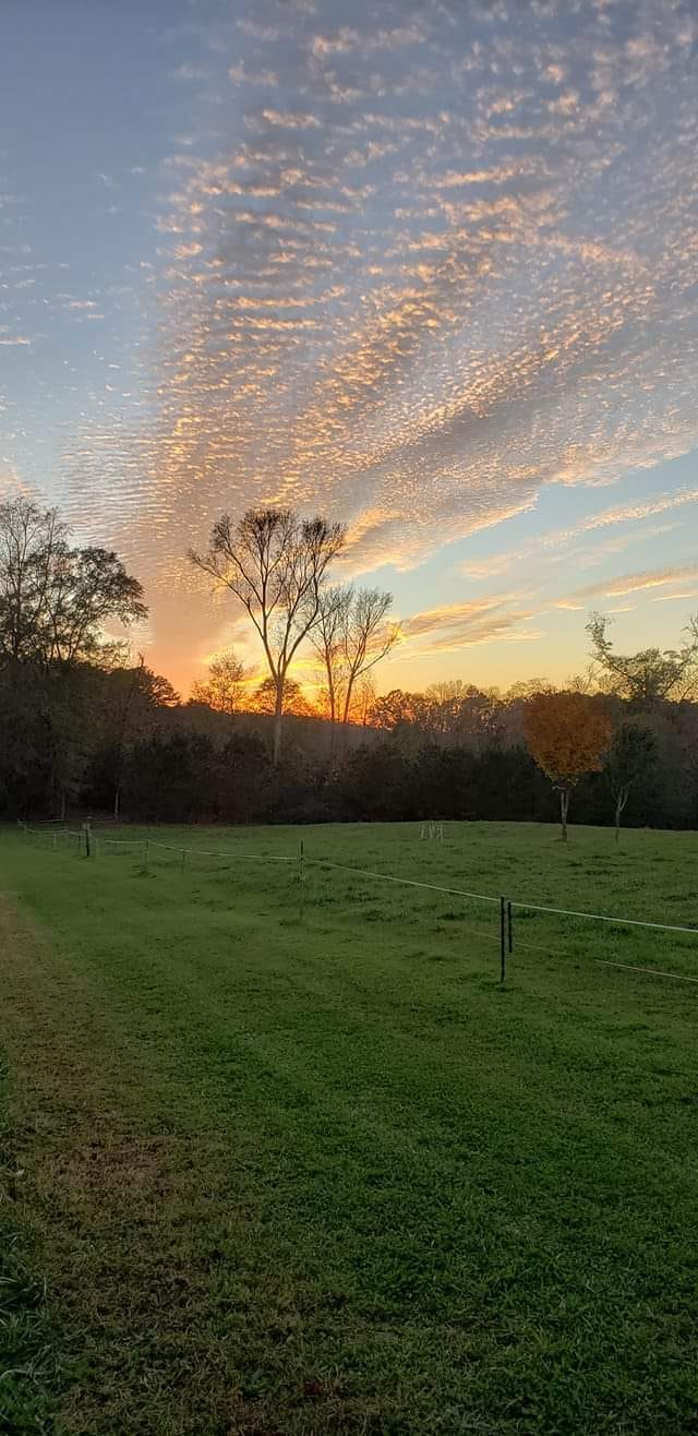 Red Arrow Ranch | Lilburn GA