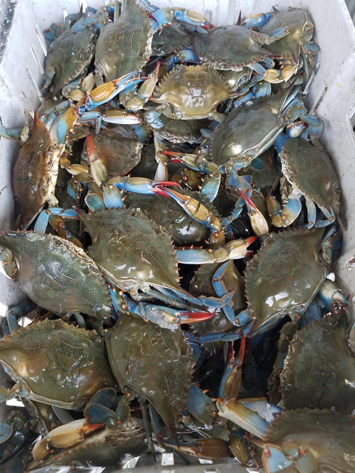 Seafood Outlet - Seafood Outlet added a new photo.