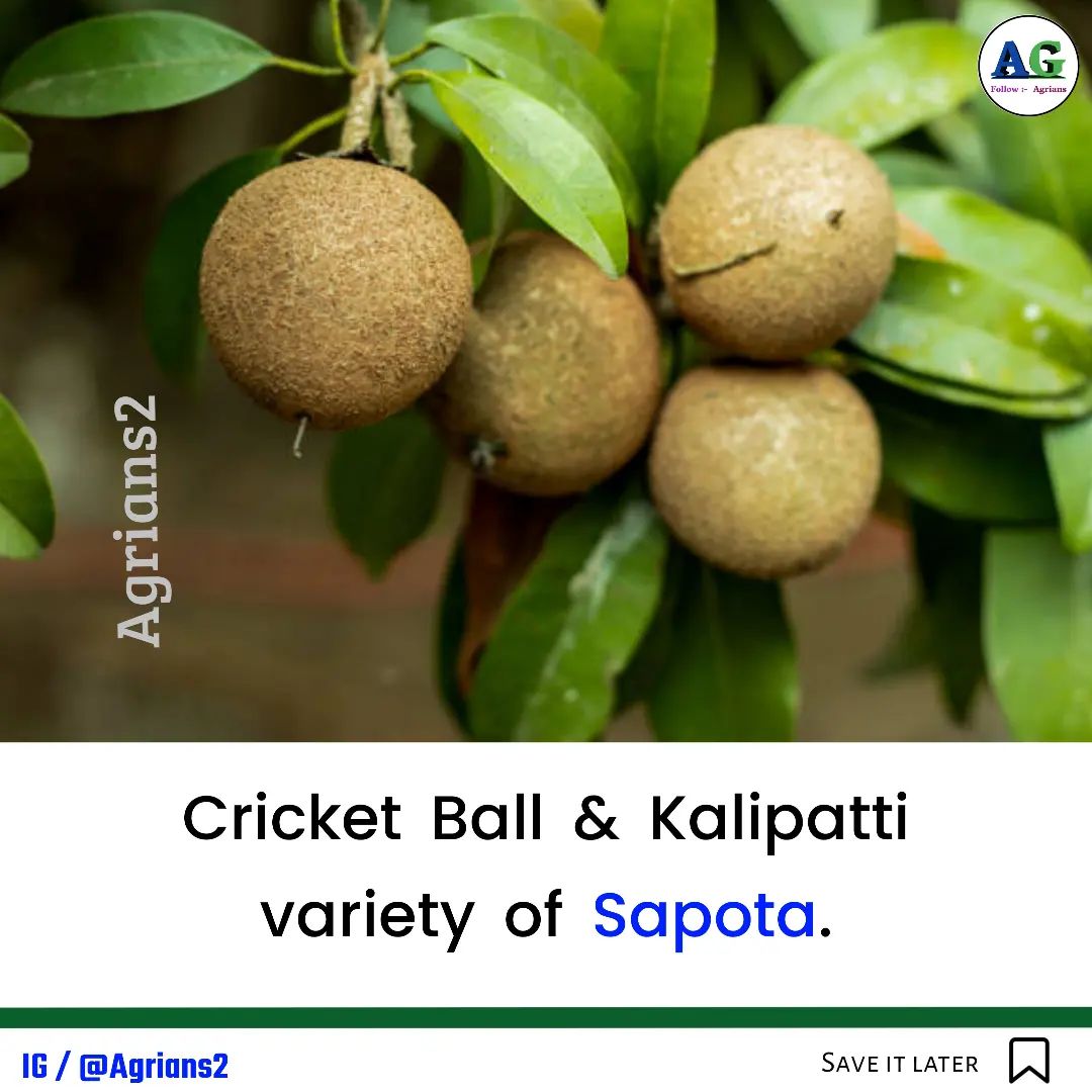 Agrians - 🔰Join General Agriculture Telegram Channel link in Bio ️📳 ...