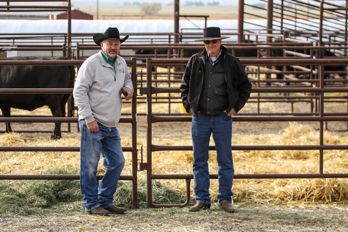 Sitz - Please join us March 8, 2023 for our spring bull sale! Our ...