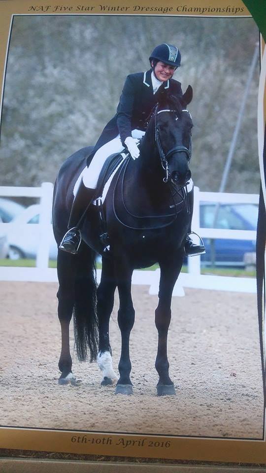 Time for a bit of the trot work, both ends of the scale, compressed ...